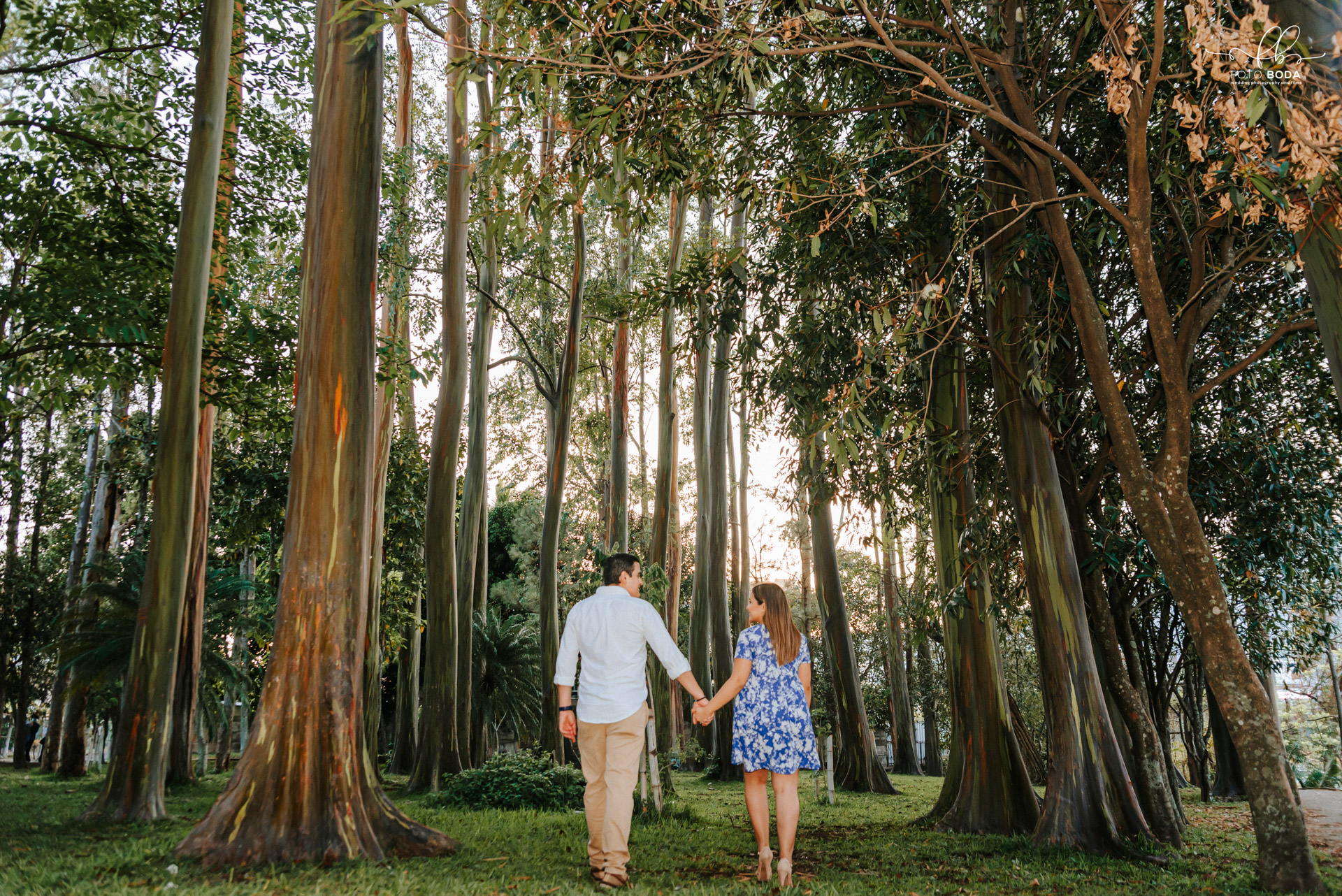 pre boda parque maquilishuat, el salvador, escalón, fotografías de boda, fotógrafos salvadoreños